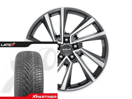 Koła zimowe Kia Sorento 19" Yongsan Bicolour BFGoodrich