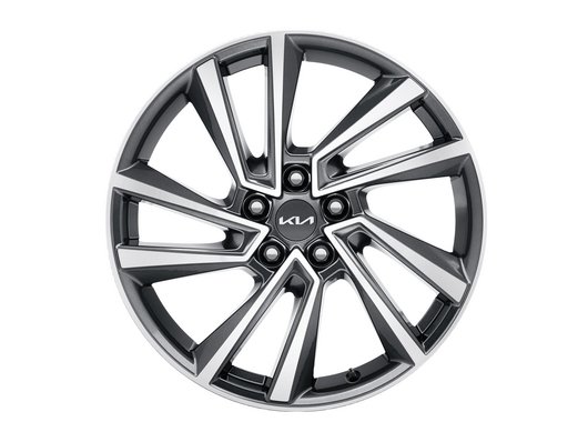 Koła zimowe Kia Sorento 19" Yongsan Bicolour