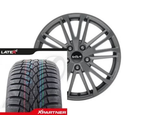 Koła zimowe Kia Niro EV 17" Osan Graphite Toyo