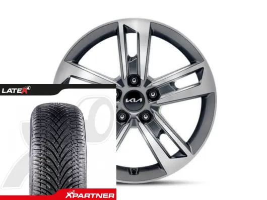 Koła zimowe Kia EV4 17" Amsa Bicolour BFGoodrich